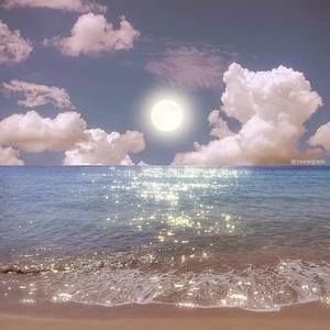 Meet your Posher, Bridget